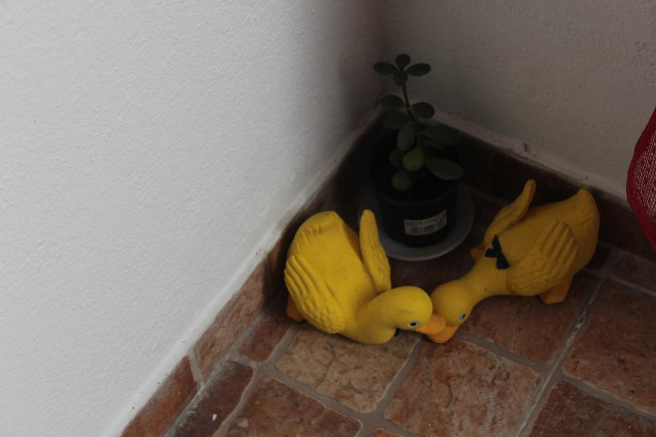 Casa Avo T1 Daire Dış mekan fotoğraf